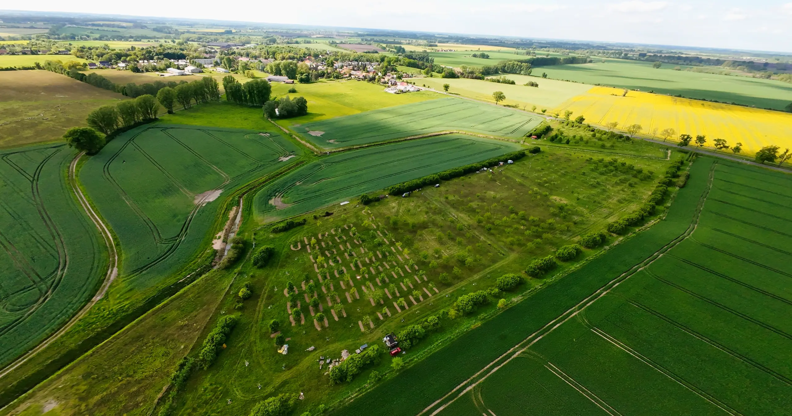 Obstwiese im Mai 2024 aus der Vogelperspektive