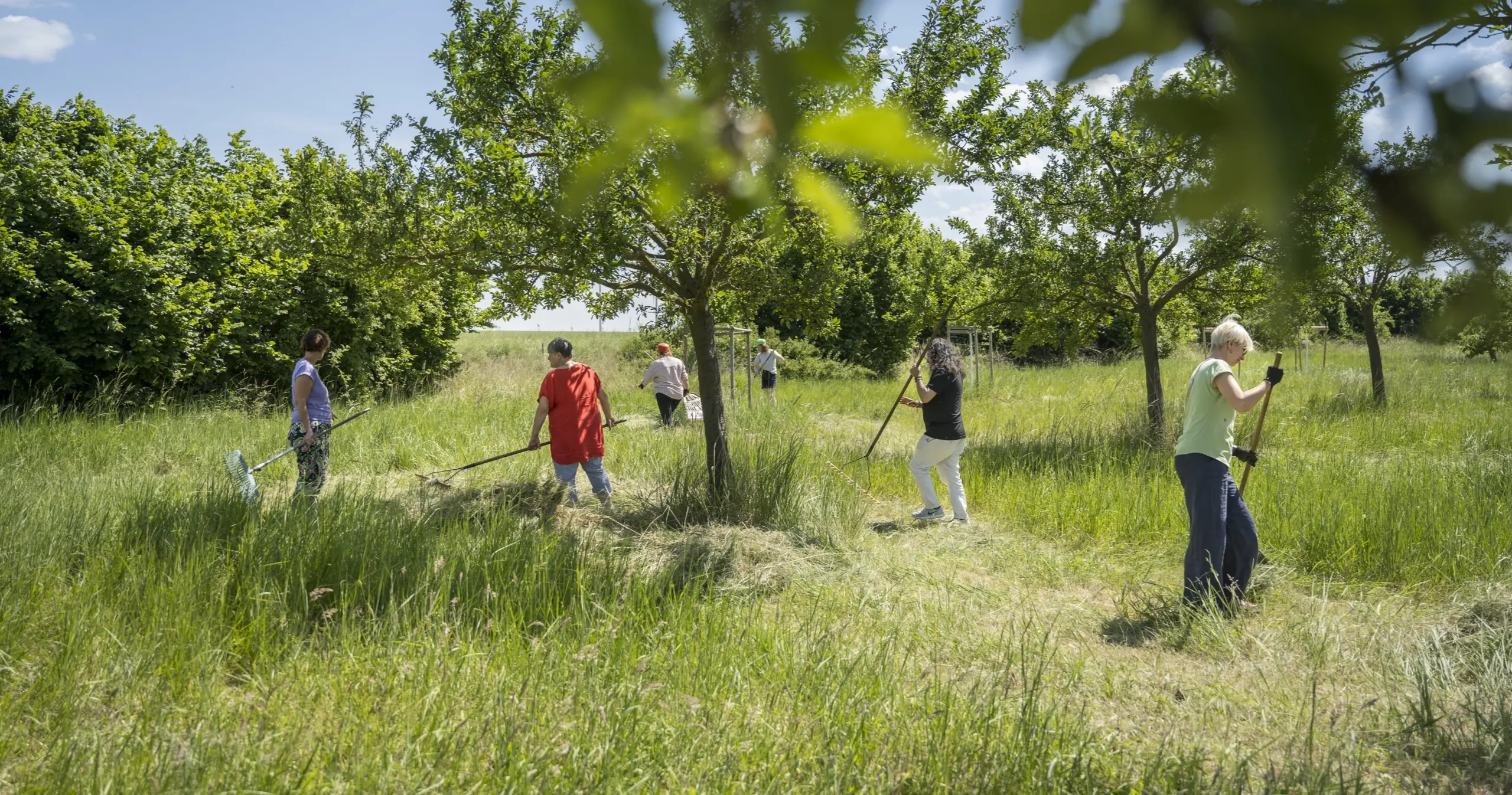 Begegnung auf der Obstwiese