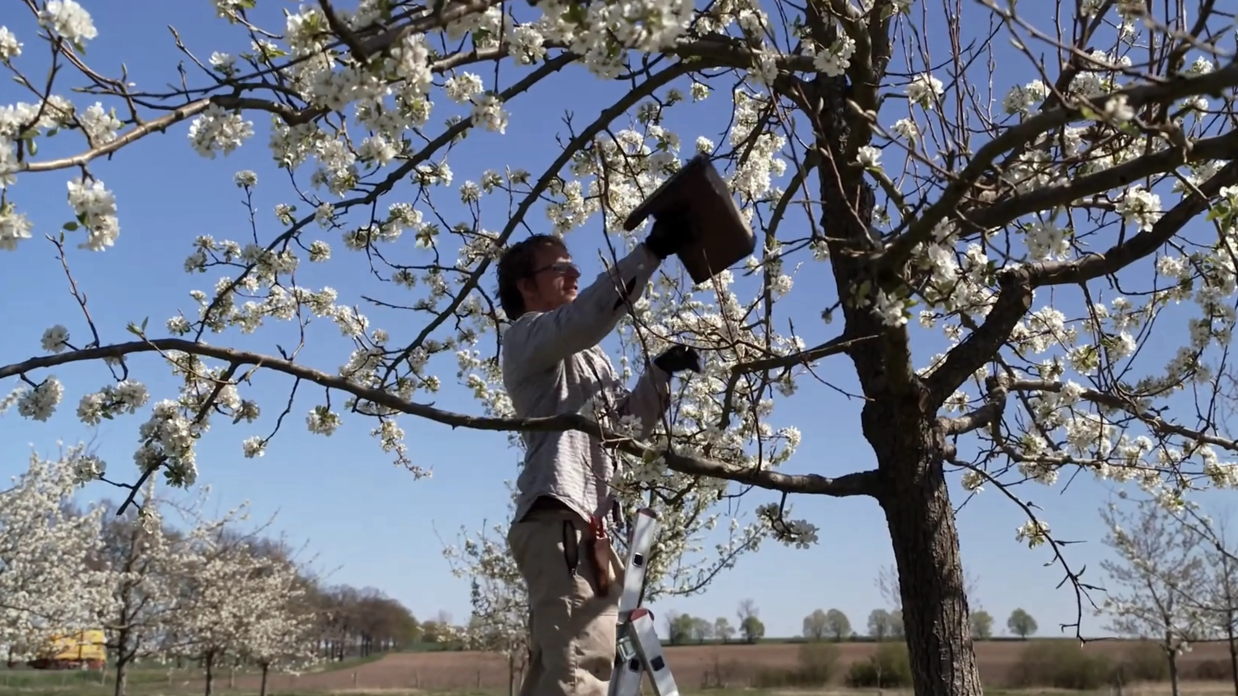 Gemeinsamer Erwerb der Obstwiese im Havelland, 2020